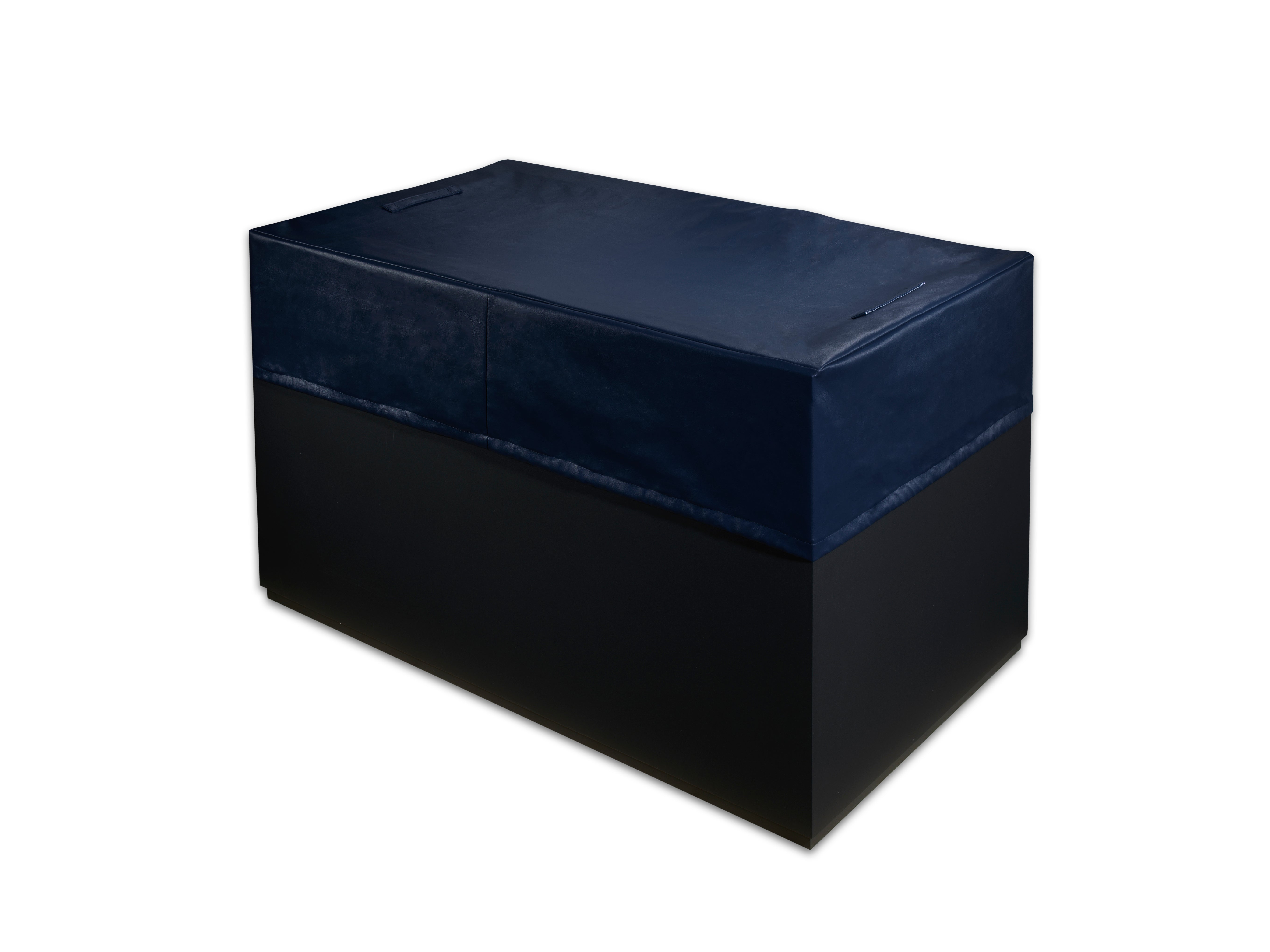 Dynamic Cold Therapy Cuboid 316 Stainless Steel Cold Plunge