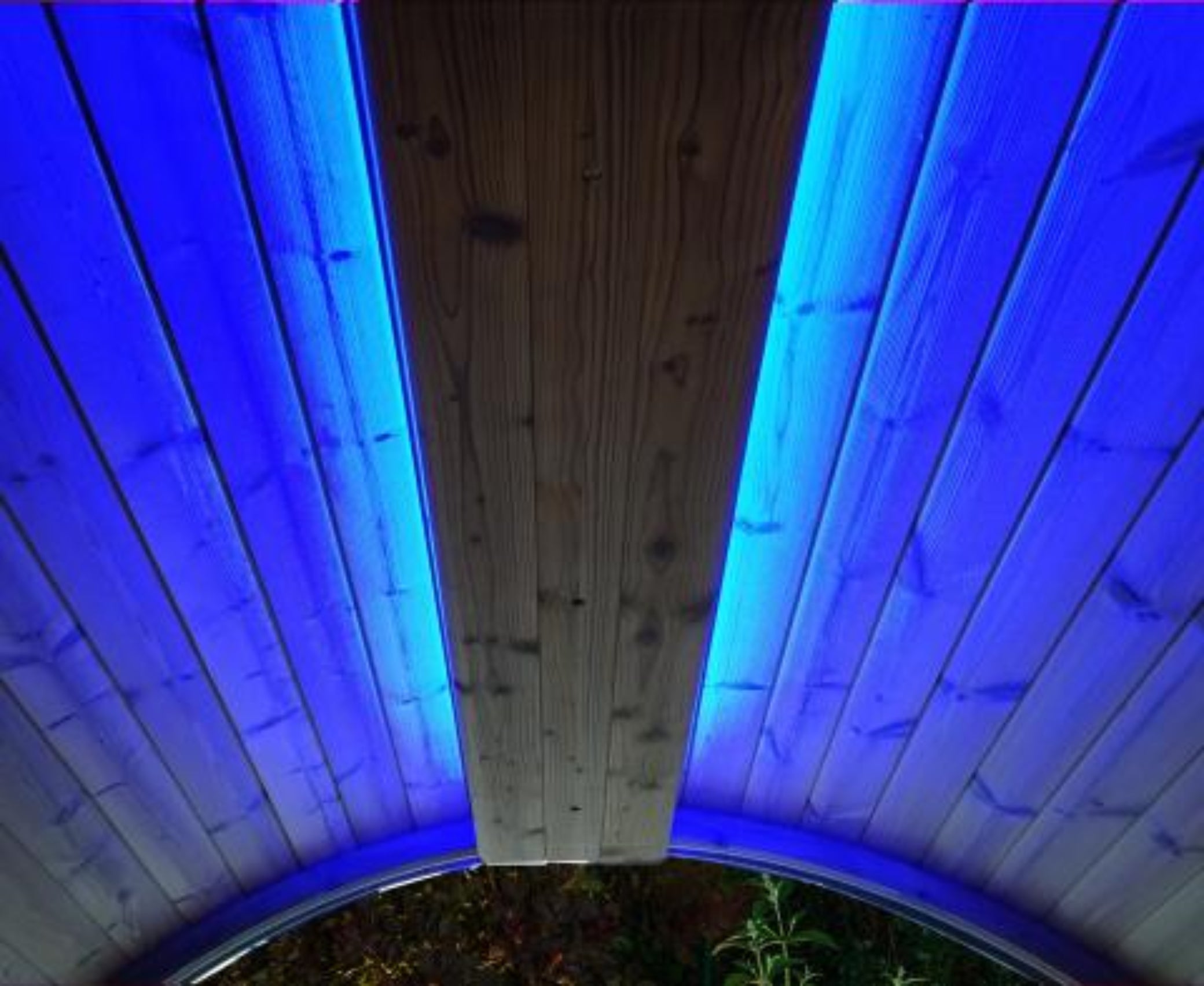 SaunaLife Ergo Series Emood Color Lighting & Electrical Enclosure