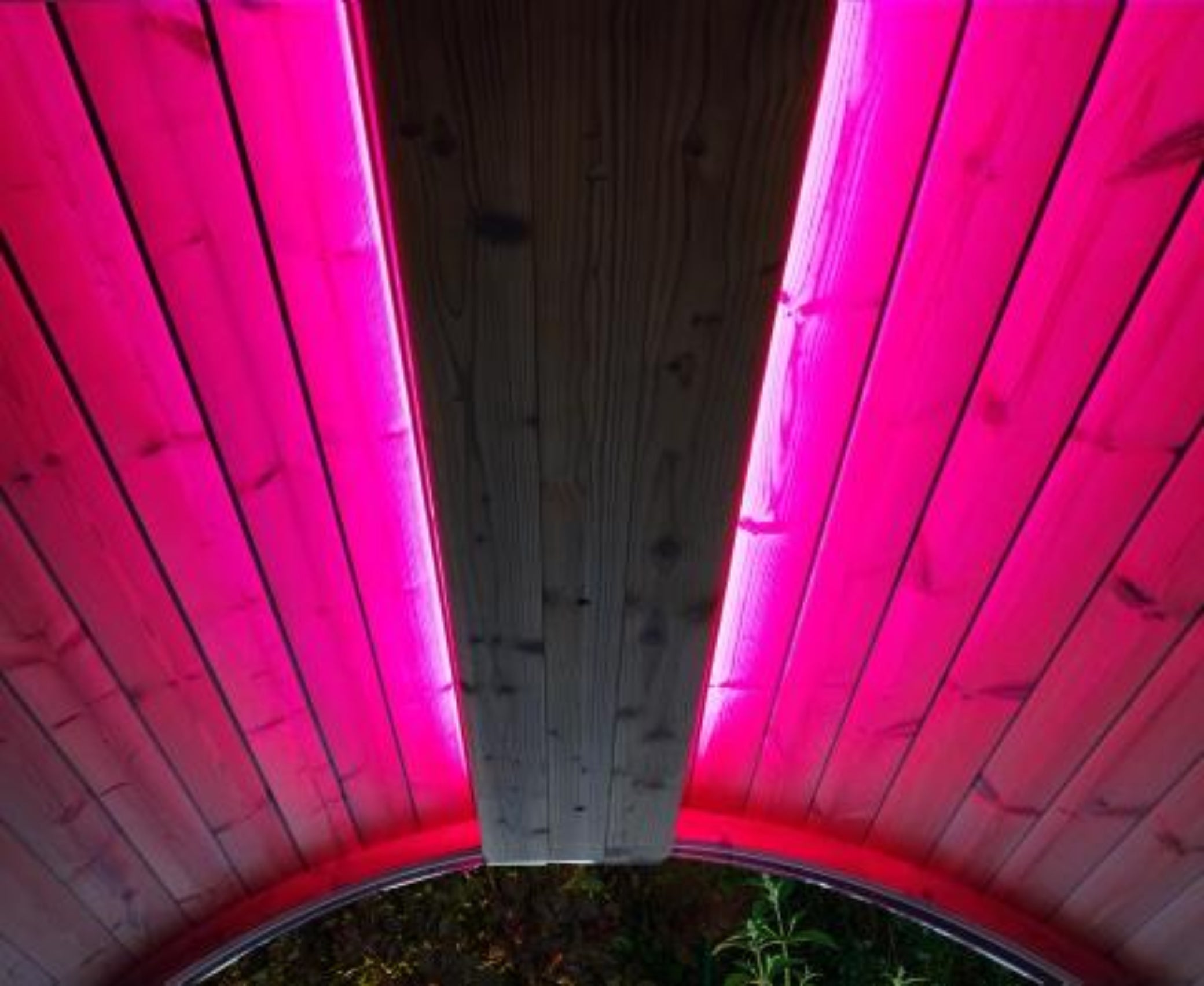 SaunaLife Ergo Series Emood Color Lighting & Electrical Enclosure