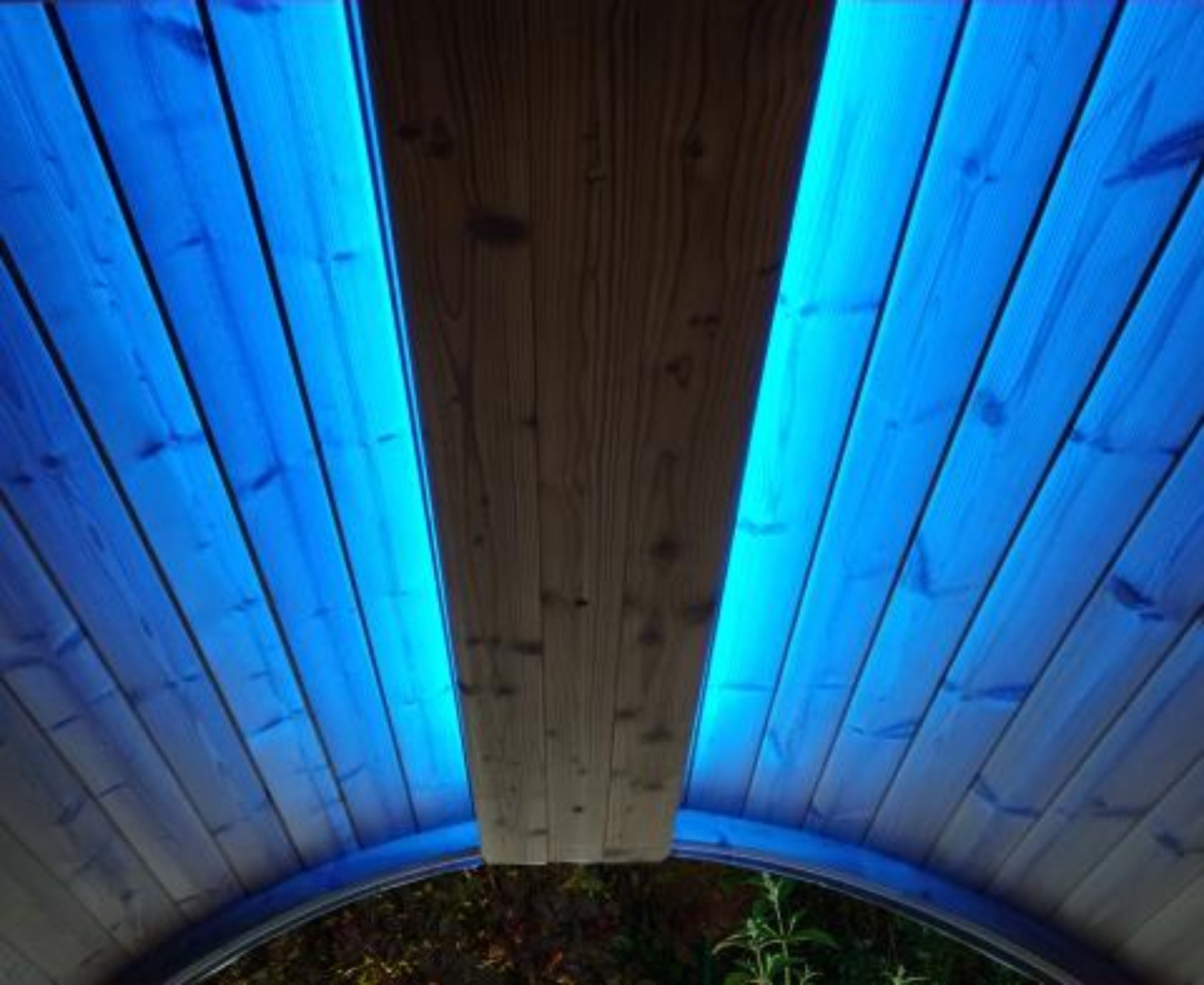 SaunaLife Ergo Series Emood Color Lighting & Electrical Enclosure