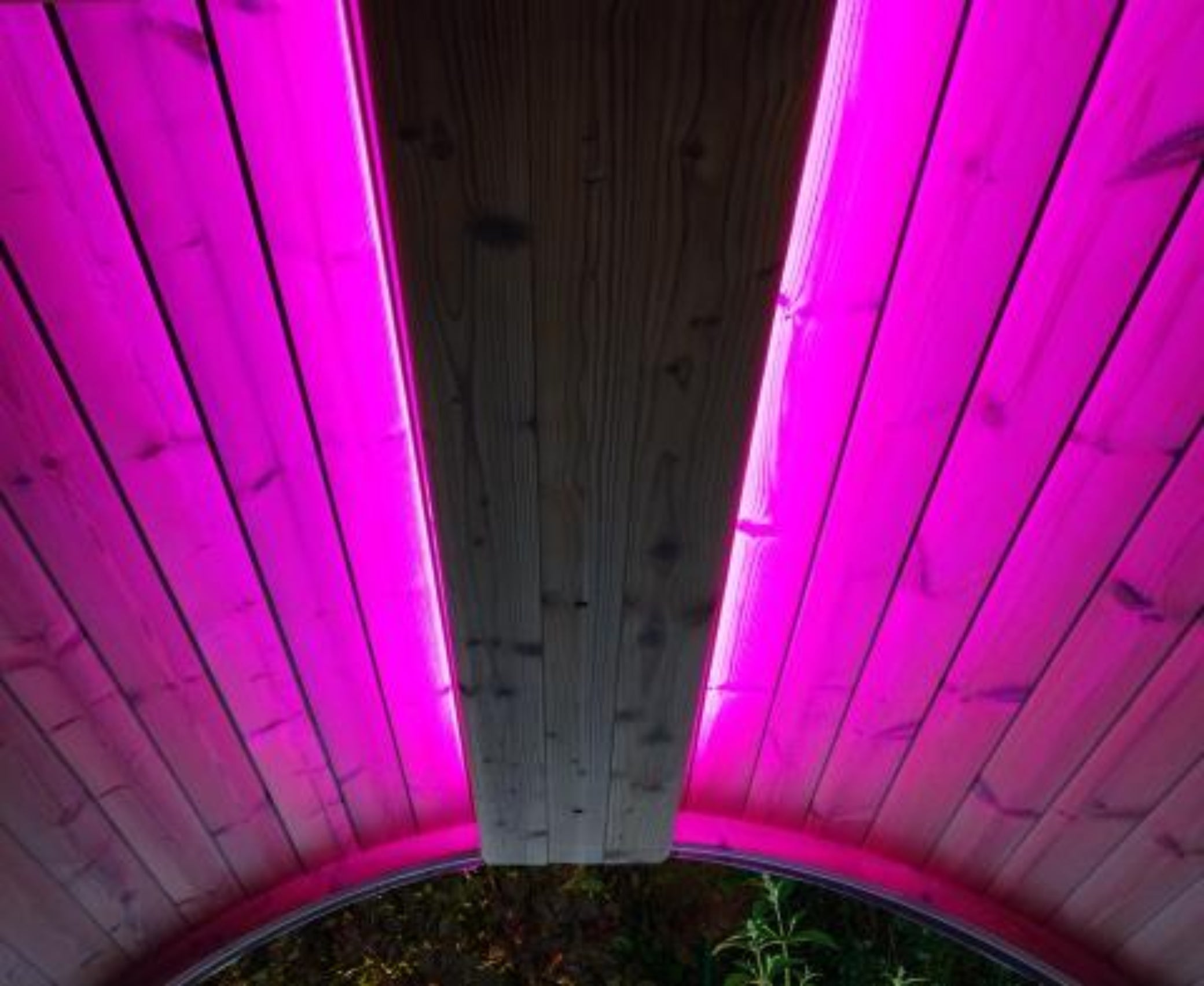 SaunaLife Ergo Series Emood Color Lighting & Electrical Enclosure