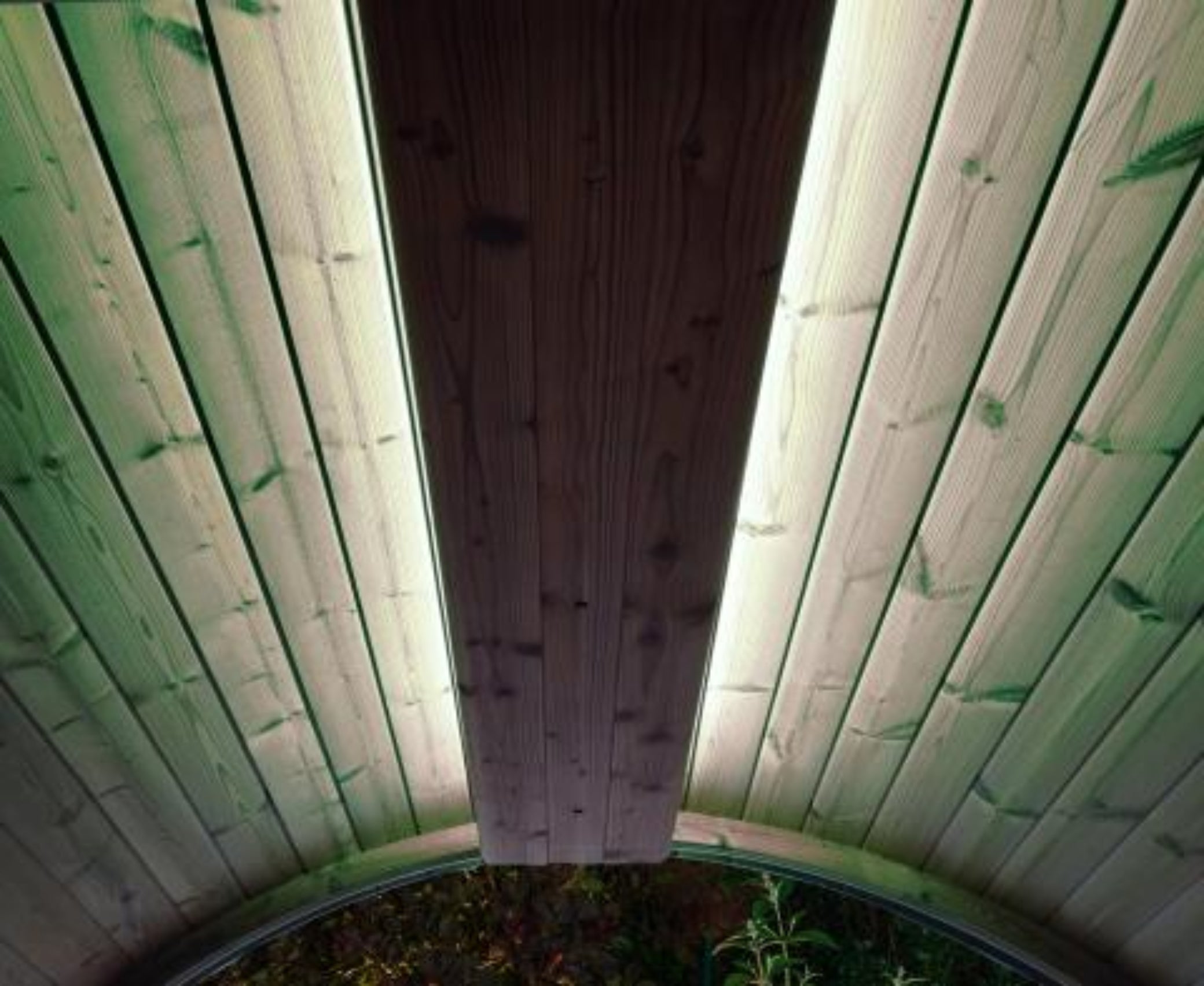 SaunaLife Ergo Series Emood Color Lighting & Electrical Enclosure